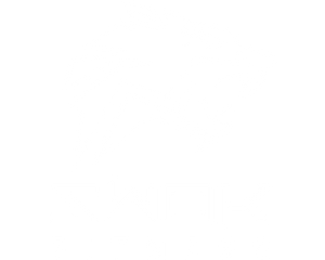SWOK Fitness